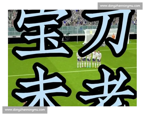 C 罗双纪录封神：国家队 140 球 + 生涯 942 球书写传奇