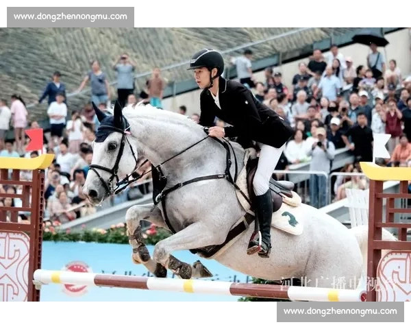 中国马术冠军杯赛邯郸站燃情启幕 顶级赛事点亮古城