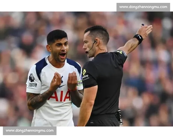 罗马诺:热刺新帅铁心留人!马竞求购罗梅罗难度升级 罗马诺:热刺新帅铁心留人!马竞求购罗梅罗难度升级