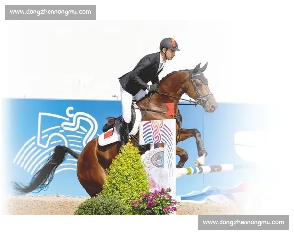 中国马术冠军杯赛邯郸站燃情启幕 顶级赛事点亮古城