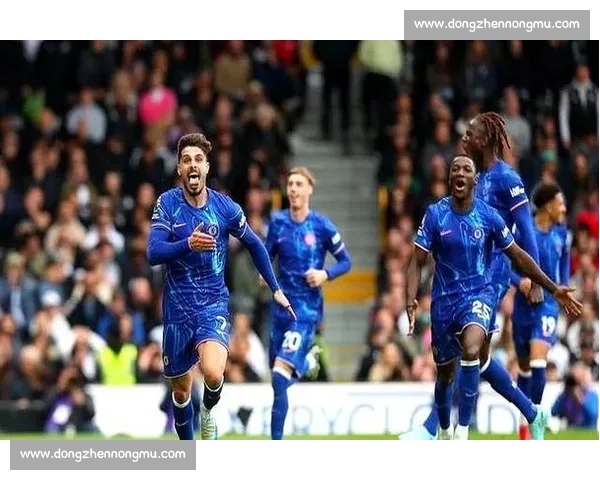 匈牙利对阵冰岛比赛视频解析攻防博弈与关键瞬间回顾全场精彩战术拆解