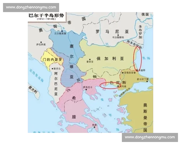 保加利亚对阵荷兰欧洲赛场实力碰撞与战术博弈前瞻全面解析双方胜负关键走势