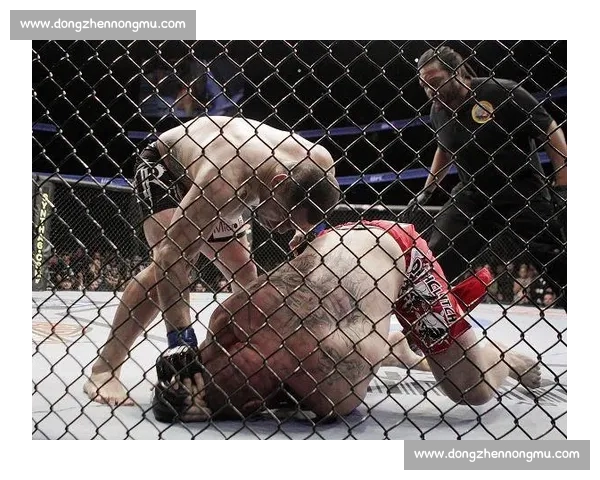 UFC大布对决锤子巅峰重炮碰撞全程回顾与胜负关键深度解析